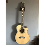 Pholea Concert Acoustic