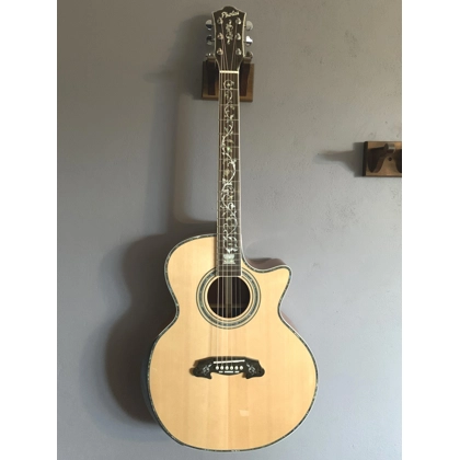 Pholea Auditorium Acoustic