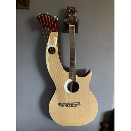 Pholea Harp Guitar