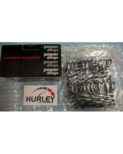 PIPER CAMS 3SGTE uprated single spring set