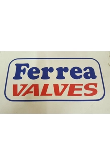 Ferrea Toyota 3SGE..