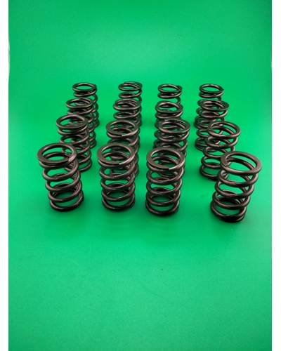 Toyota 4EFTE 5EFE uprated valve spring set