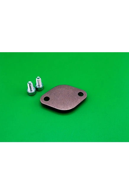 3SGE BEAMS VVTI Sensor delete plate