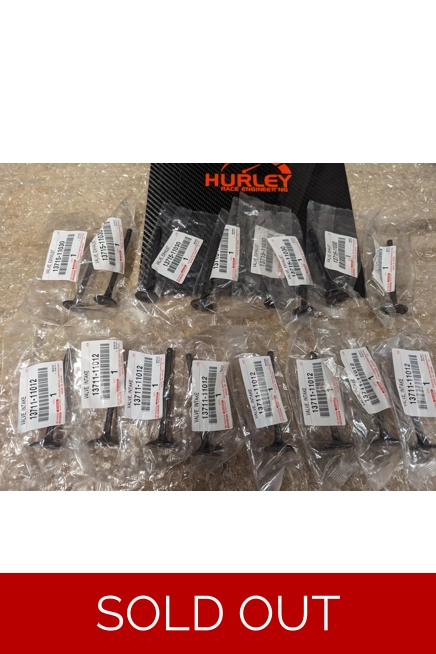 Genuine Toyota 4EFE 4EFTE 5E valve set