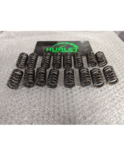 Rover K series uprated single vale spring set ( 16 )
