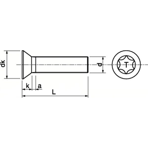 M4  CSK Torx Machine Screws T20