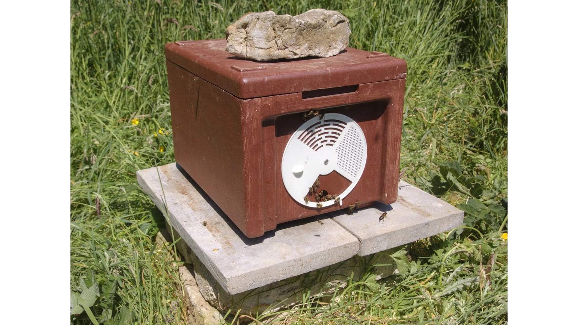 Polystyrene nucleus box