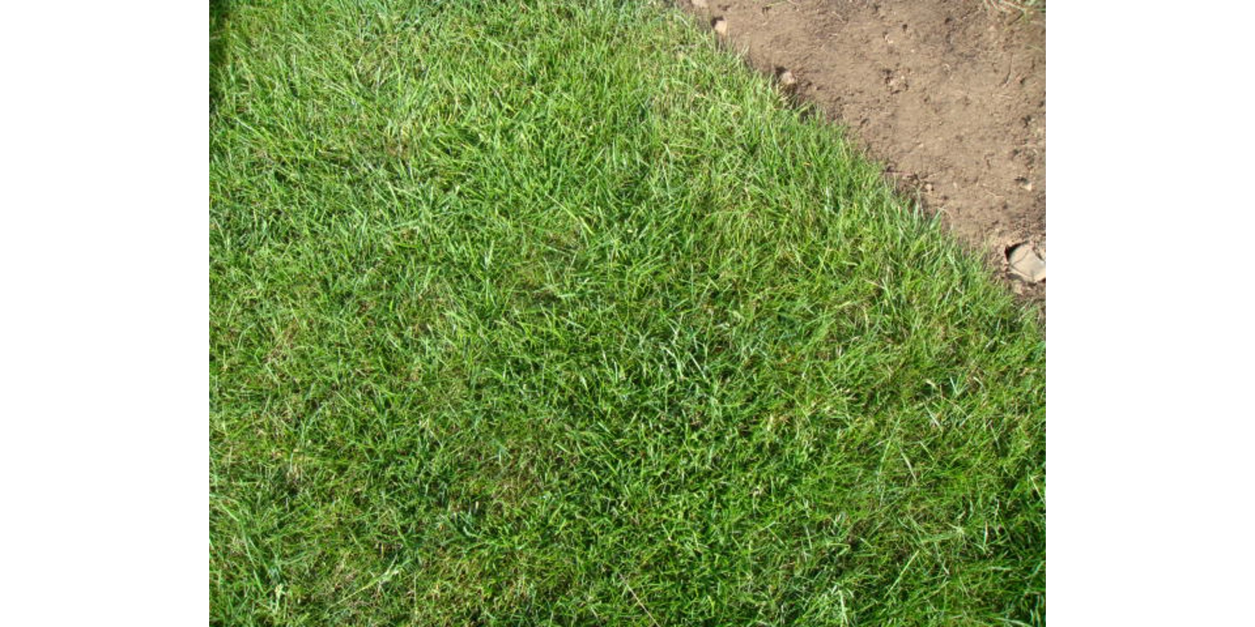 Change this image via the Design > Slideshow section of your Freewebstore Control Panel