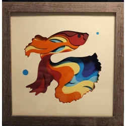 Rainbow Beta Fish 8 x 8 3-D Shadow Box