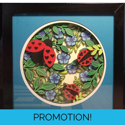 Ladybugs 8x8 3-D Shadow..