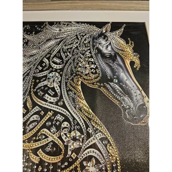 Additional Image for Celtic Horse 12x12 Framed Rhinestone Art