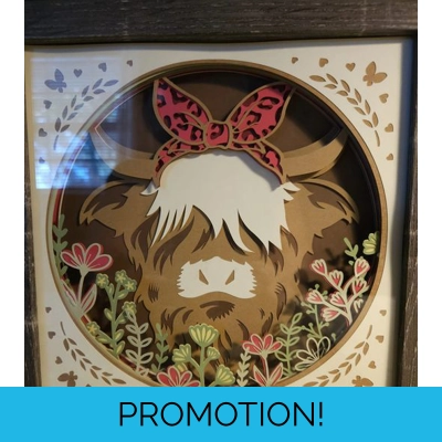 Highland Cow 