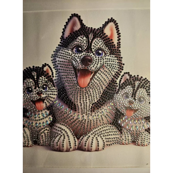 Additional Image for Husky and Puppies 12x12 Framed Rhinestone Art