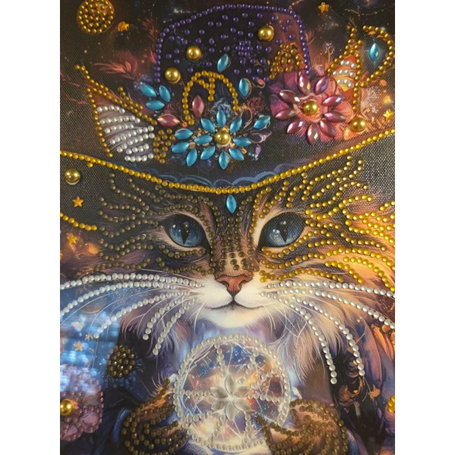 Additional Image for Magical Cat 12x12 Framed Rhinestone Art