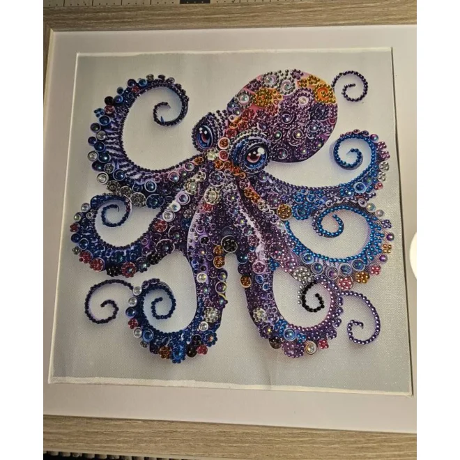 product Image for Colorful Octopus