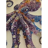 Colorful Octopus