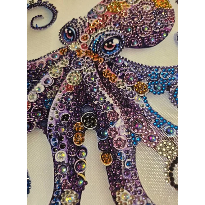 Additional Image for Colorful Octopus