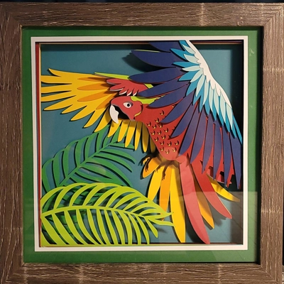 Parrot 8x8 3D Shadow Box Art