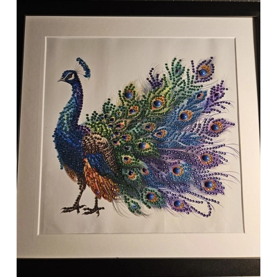 Colorful Peacock 12x12 Framed Rhinestone Art