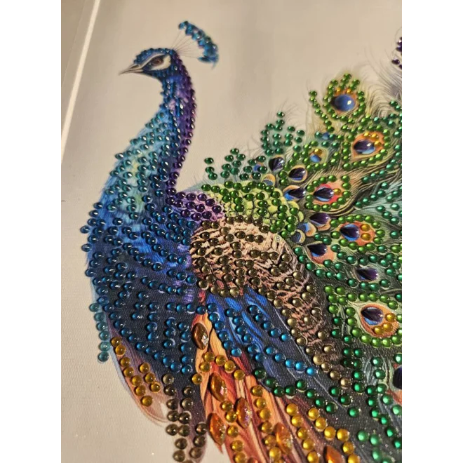Additional Image for Colorful Peacock 12x12 Framed Rhinestone Art