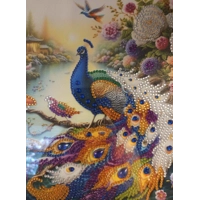 Peacock Paradise 12x12 Framed Rhinestone Art
