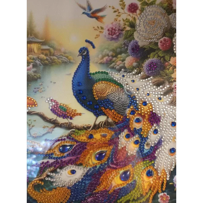 Additional Image for Peacock Paradise 12x12 Framed Rhinestone Art