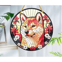 Shiba Inu 8