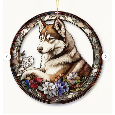 Siberian Husky 2