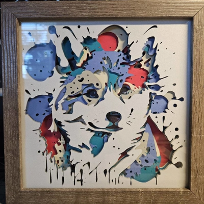 Cream Shiba Inu Splash 8x8 3D Shadow Box
