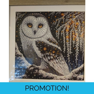 Snow Owl 12x12 Framed Rhinestone Art Snow Owl 12x12 Framed Rhinestone Art