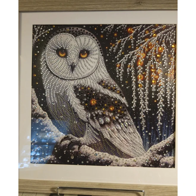 product Image for Snow Owl 12x12 Framed Rhinestone Art