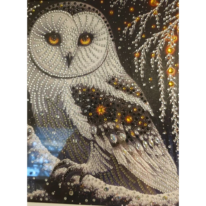 Additional Image for Snow Owl 12x12 Framed Rhinestone Art