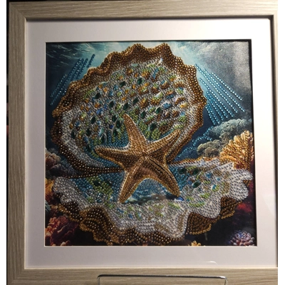 Star Fish and Clam 12x12 Framed Rhinestone Art