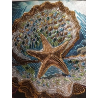 Star Fish and Clam 12x12 Framed Rhinestone Art