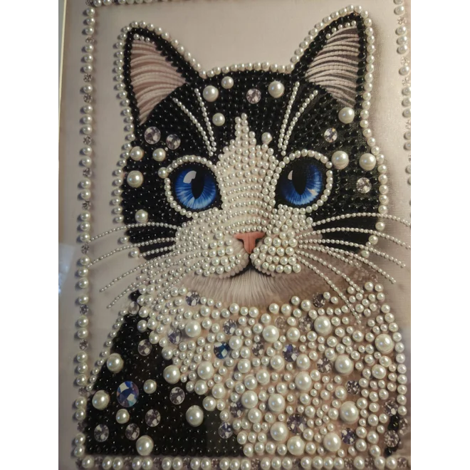 Additional Image for Tuxedo Cat Pearls 12.16 Framed Art