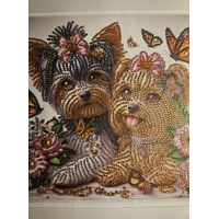 Yorkshire Terrier  12x12 Framed Rhinestone Art