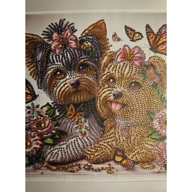 Additional Image for Yorkshire Terrier  12x12 Framed Rhinestone Art