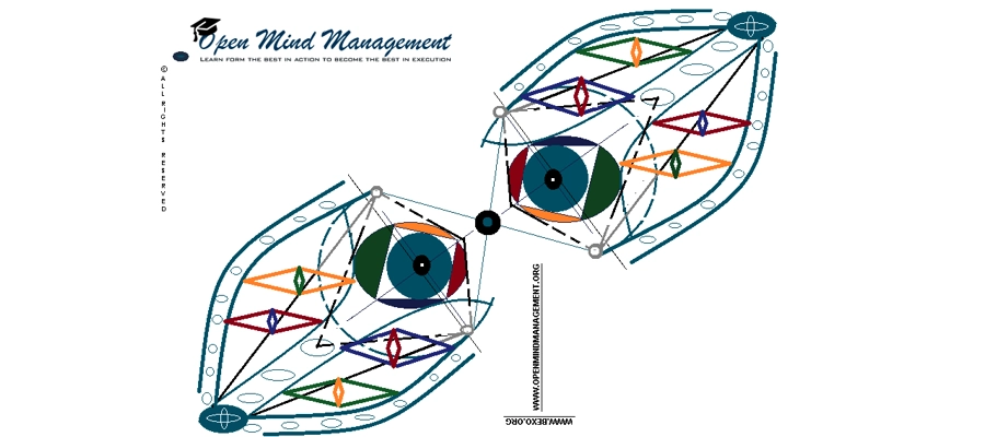 THE POINT OF OPTIMAL ORGANIZATIONAL PERFORMANCE