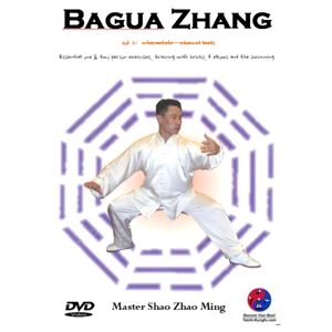 Bagua Zhang Vol. 2 - Digital Access or Hardcopy