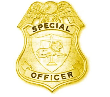 Special Officer Shield Badge Lion with Scales Gold