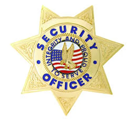 Security Officer 7 Point Star Breast Badge Gold