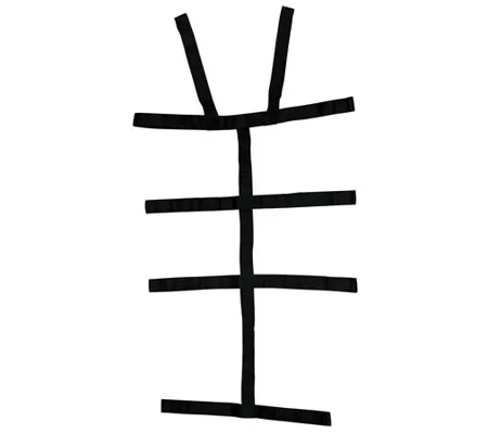 Backboard Spider Straps Velcro Black