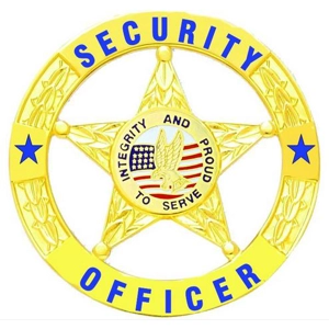 Security Officer Private Star Circle Breast Badge Gold