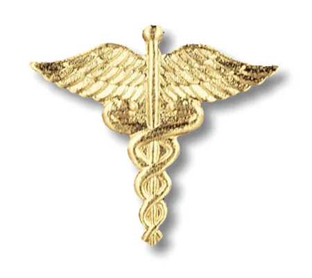 Caduceus Pin