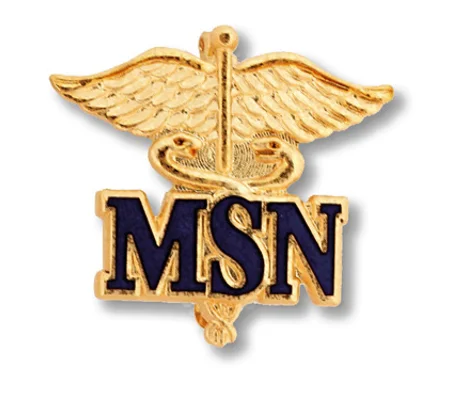 Master of Science Nursing Pin