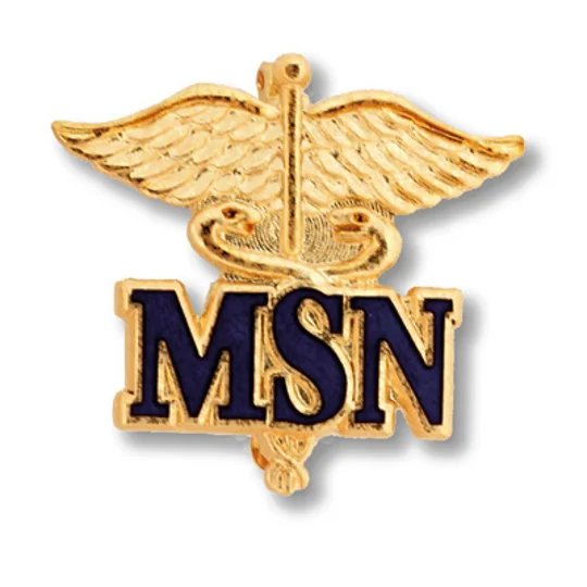 Master of Science Nursing Pin