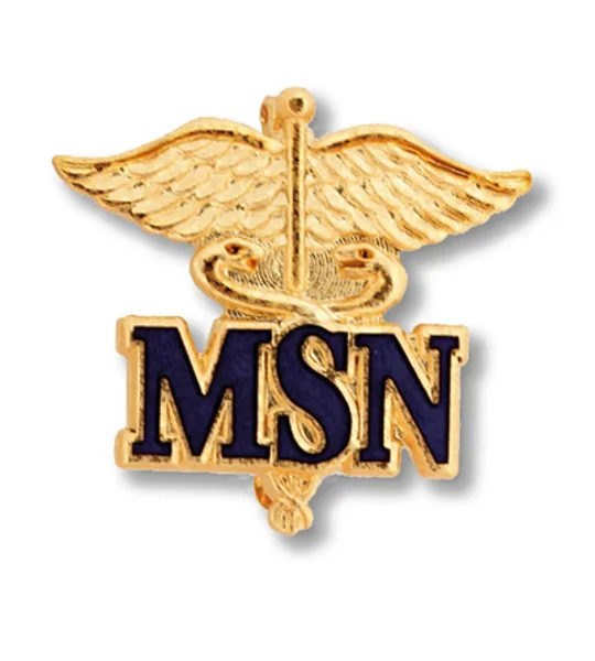 Master of Science Nursing Pin