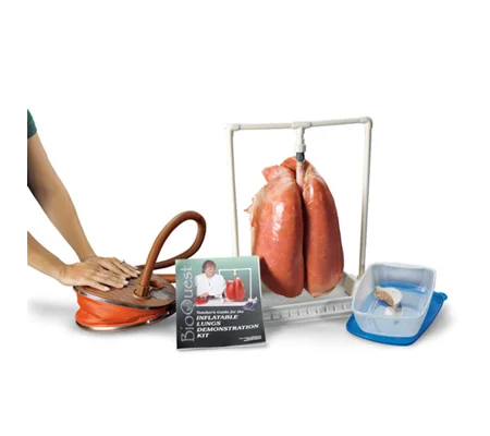 Bioquest Inflatable Lung Kit