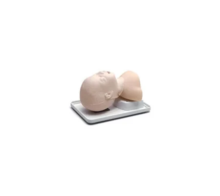 Airway Management Trainer Infant