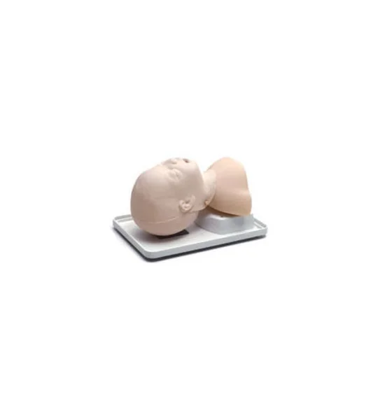 Airway Management Trainer Infant